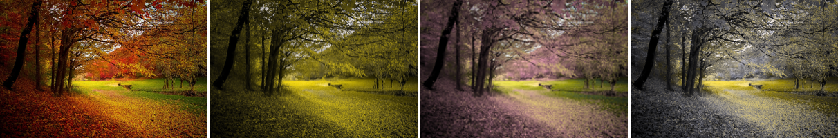 Colour vision deficiency filters