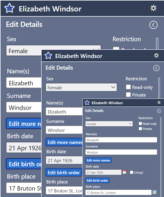 Display zoom levels
