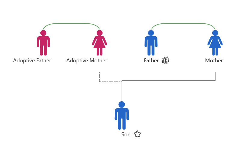 Nonbiological relationships in the family chart